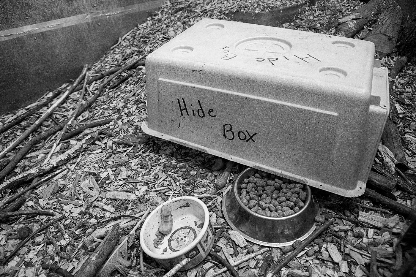 An overturned box labelled "Hide Box" at the Toronto Wildlife Centre