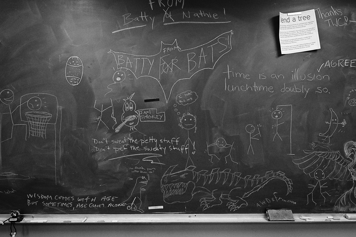 Blackboard with chalk drawins at the Toronto Wildlife Centre